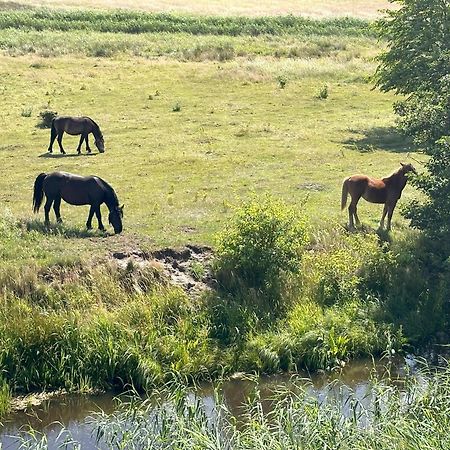 Apartmán Laba Na Milej Leba Exteriér fotografie
