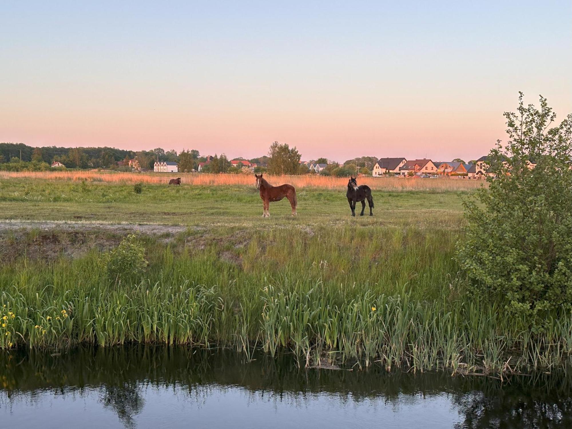 Apartmán Laba Na Milej Leba Exteriér fotografie