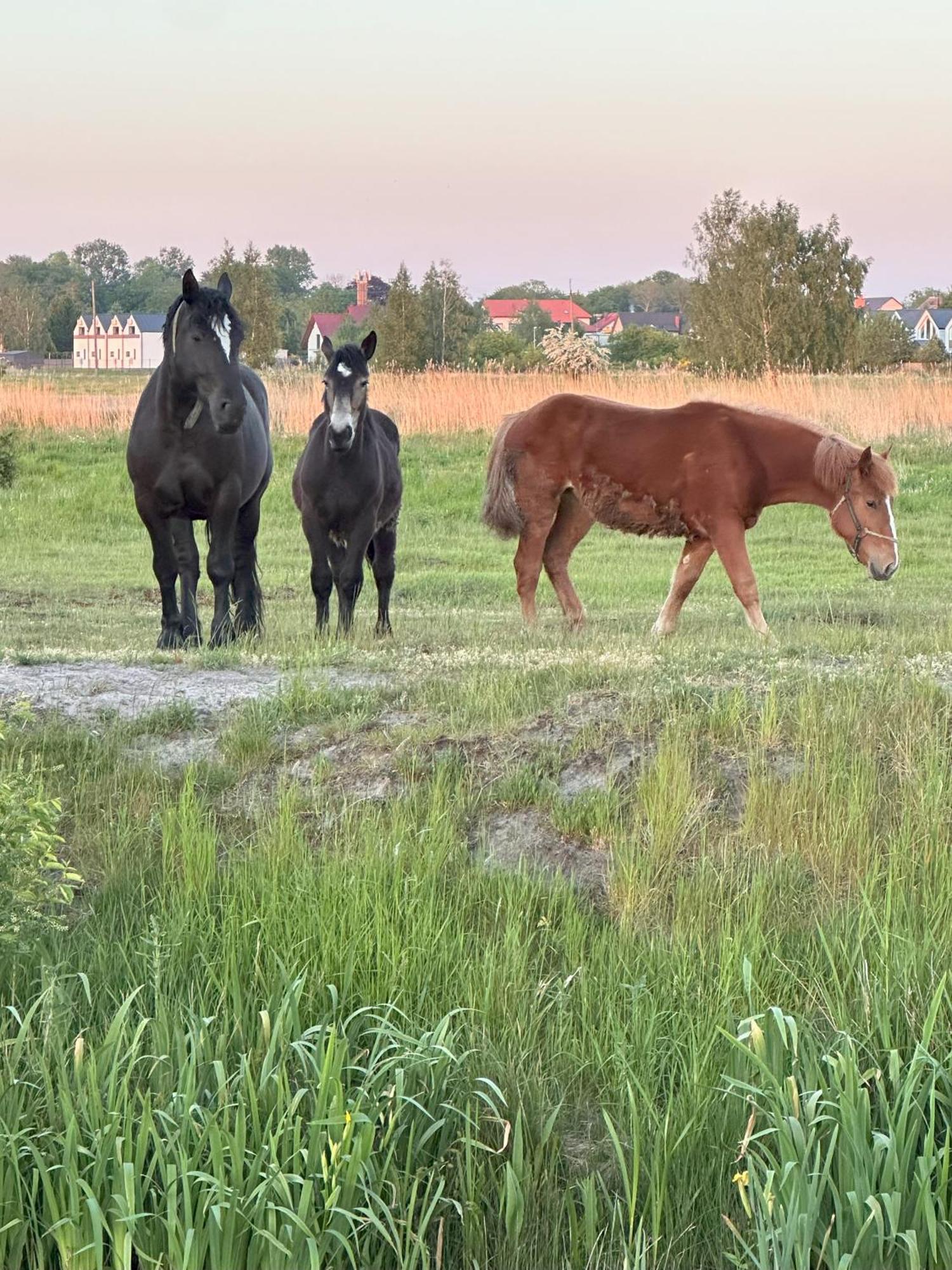 Apartmán Laba Na Milej Leba Exteriér fotografie